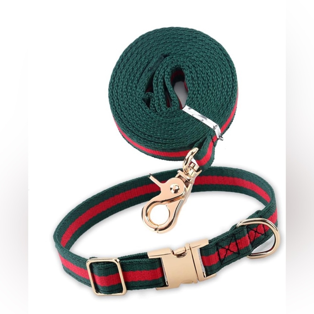 High Fashion Dog Collar & Leash
